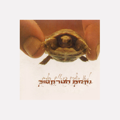 לאן הולכים פתאום כולם